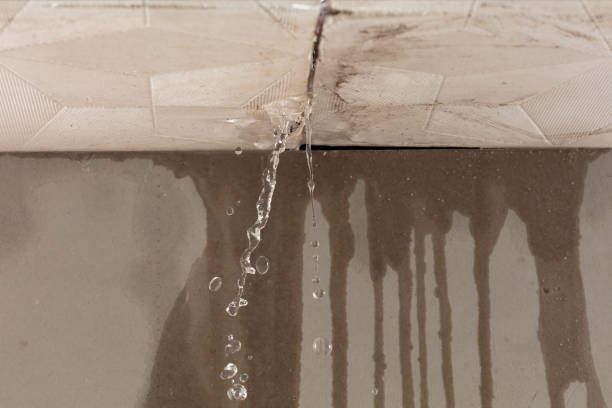 Professional Burst Pipe Cleanup technician working in Penobscot, ME